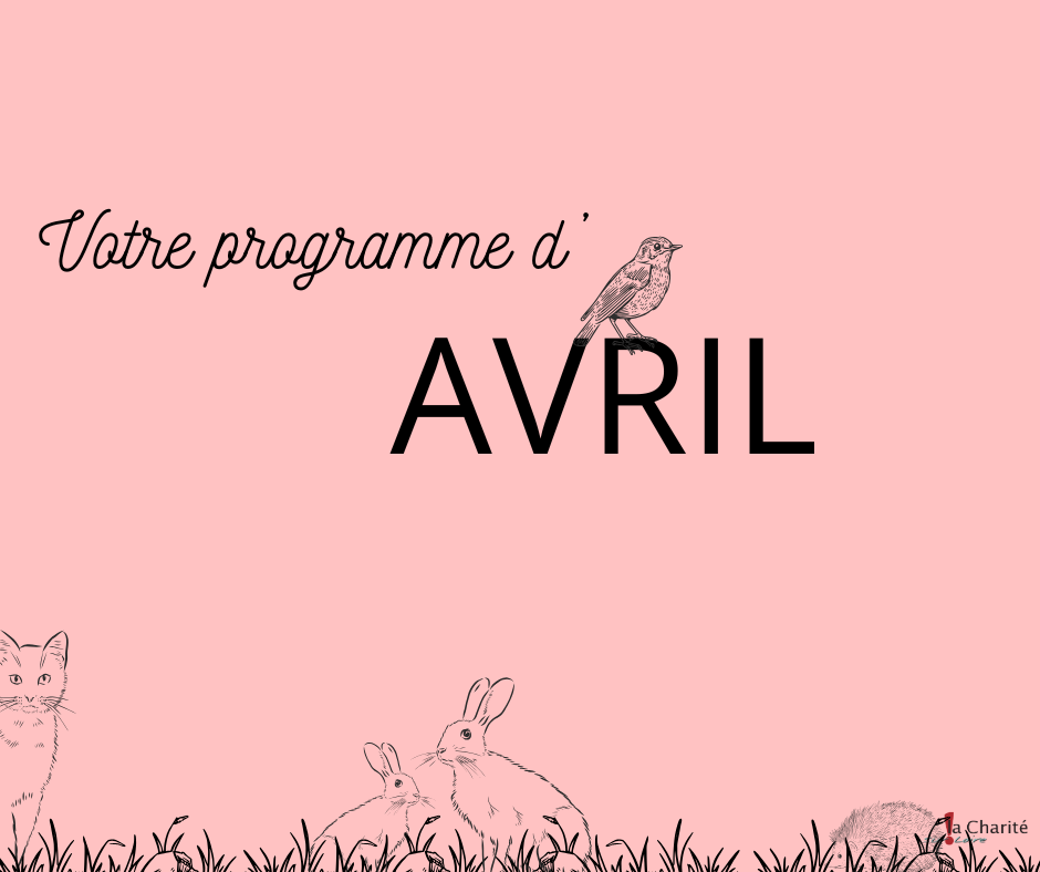 Votre programme d'animations en AVRIL 