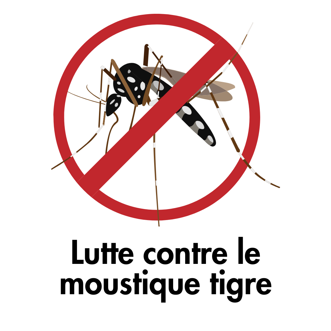 Lutte contre le moustique tigre à La Charité